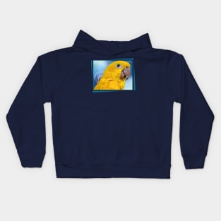 guaruba macaw Kids Hoodie